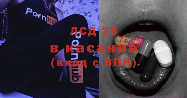 прущие грибы Алзамай