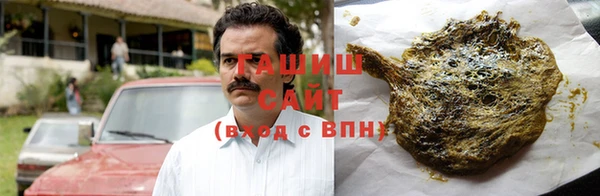 прущие грибы Алзамай