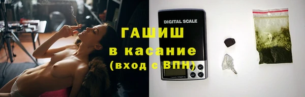прущие грибы Алзамай
