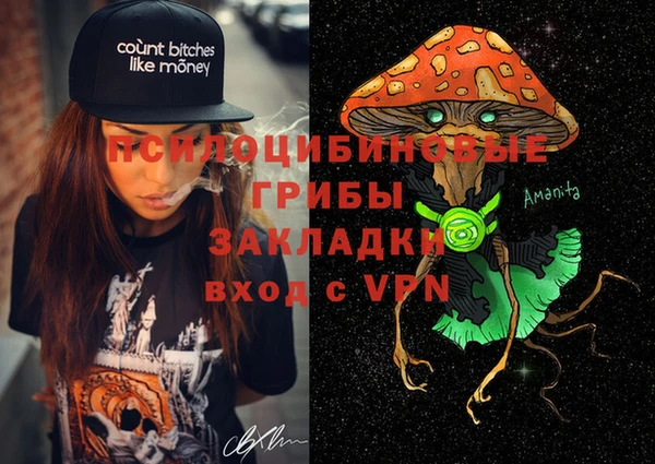 прущие грибы Алзамай