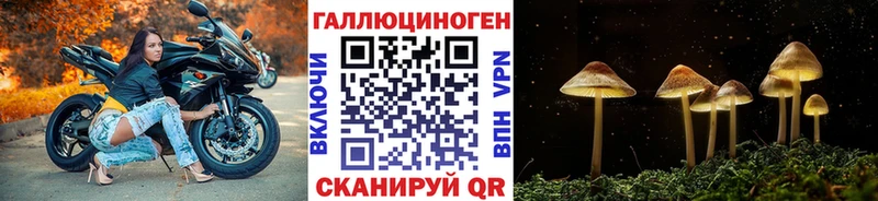 МЕГА tor Черкесск Псилоцибиновые грибы Psilocybine cubensis